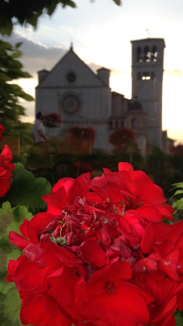 Le Dimore Arcangelo Maria Assisi Exterior foto